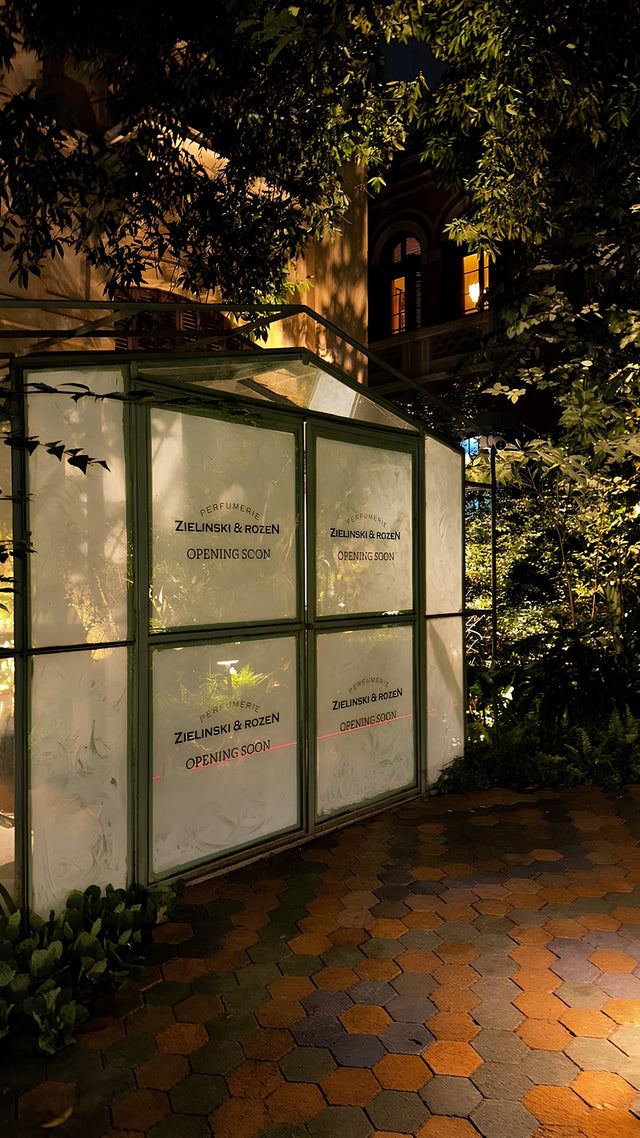 Opening soon São Paulo — Mata São Paulo